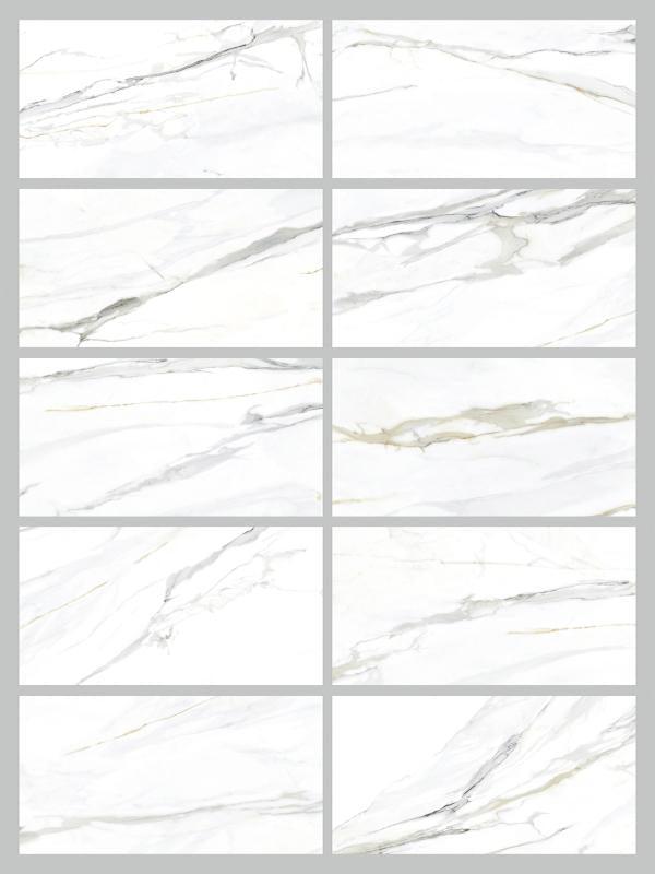 Emporio Calacatta Gold Matte Large-Format Porcelain Tile 24x48 | Tile Club