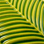 Plume Apple Feather Ceramic Tile