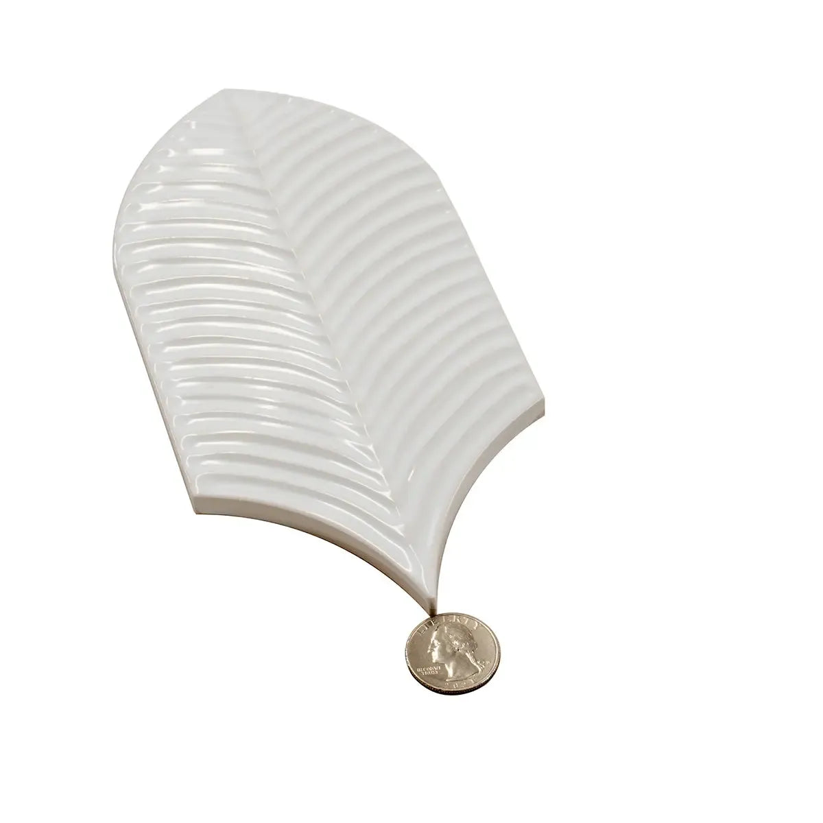 Plume White Feather Ceramic Tile | Tile Club