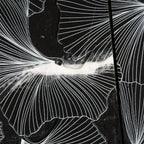 Bluma Gingko Black Etched Marble Mosaic | Tile Club