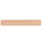 Viva Peak Pink 2x16 Ceramic Subway Tile | Tile Club