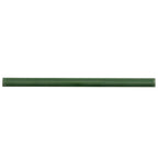 Viva Forest Pencil Trim Tile | Tile Club