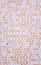 Fantasy Penny Tumbled Marble Mosaic Tile