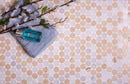 Fantasy Penny Tumbled Marble Mosaic Tile