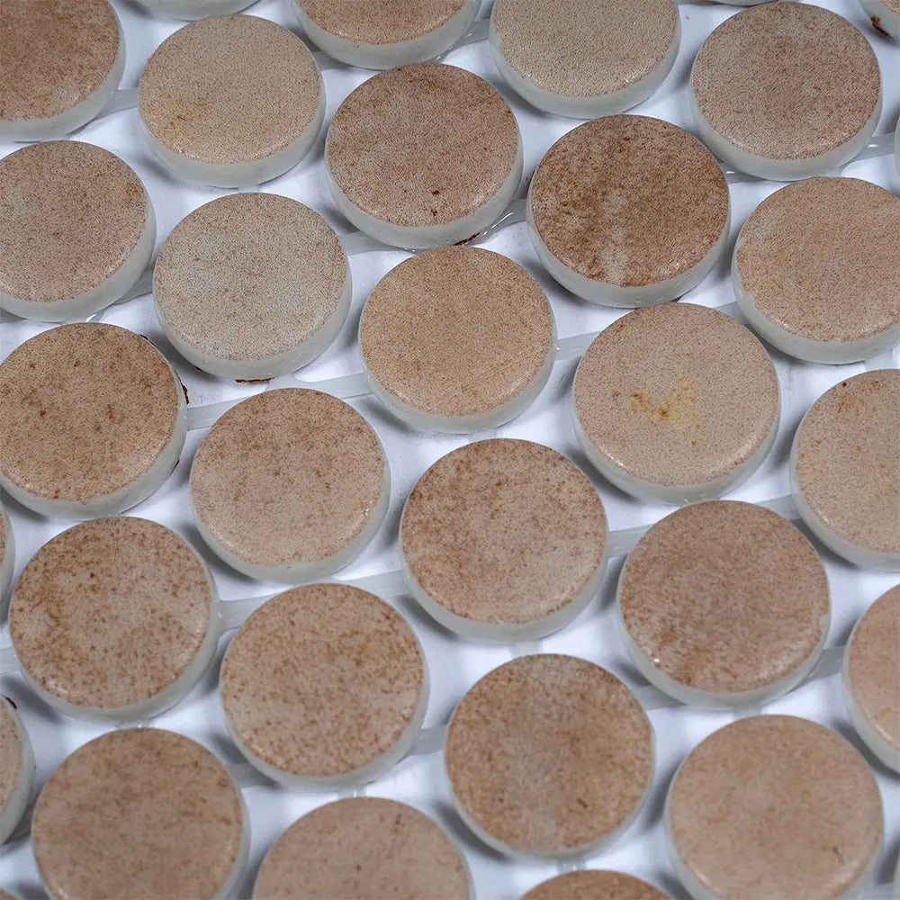 Sagrada Recycled Glass Terracotta Penny Round Tile | Tile Club