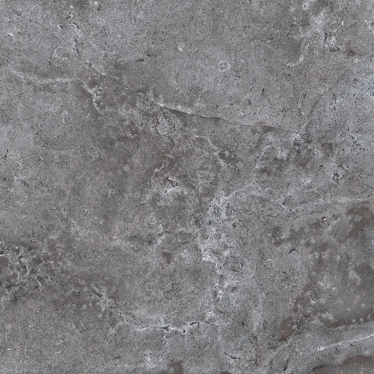Campbell Dark Gray Rect. 12x24 | Tile Club