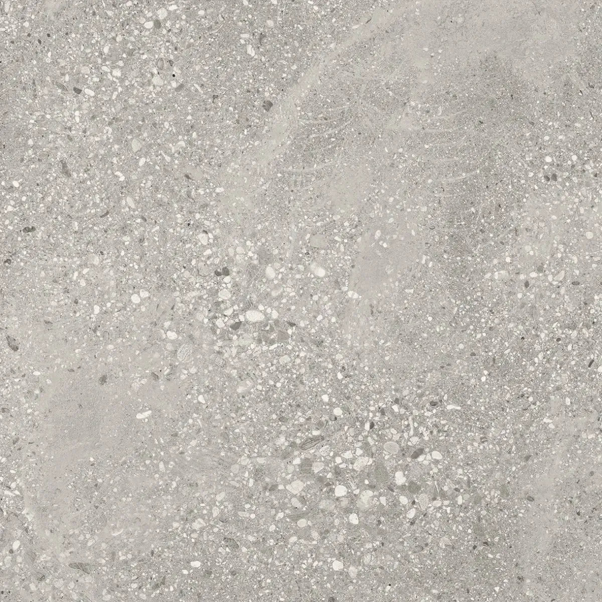 Campbell Gray Rect. 24x48 | Tile Club