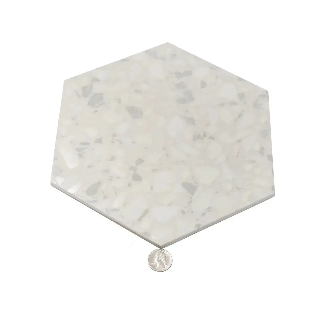Tundra Snow Terrazzo Hex Porcelain Tile | Tile Club