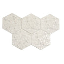 Tundra Snow Terrazzo Hex Porcelain Tile | Tile Club