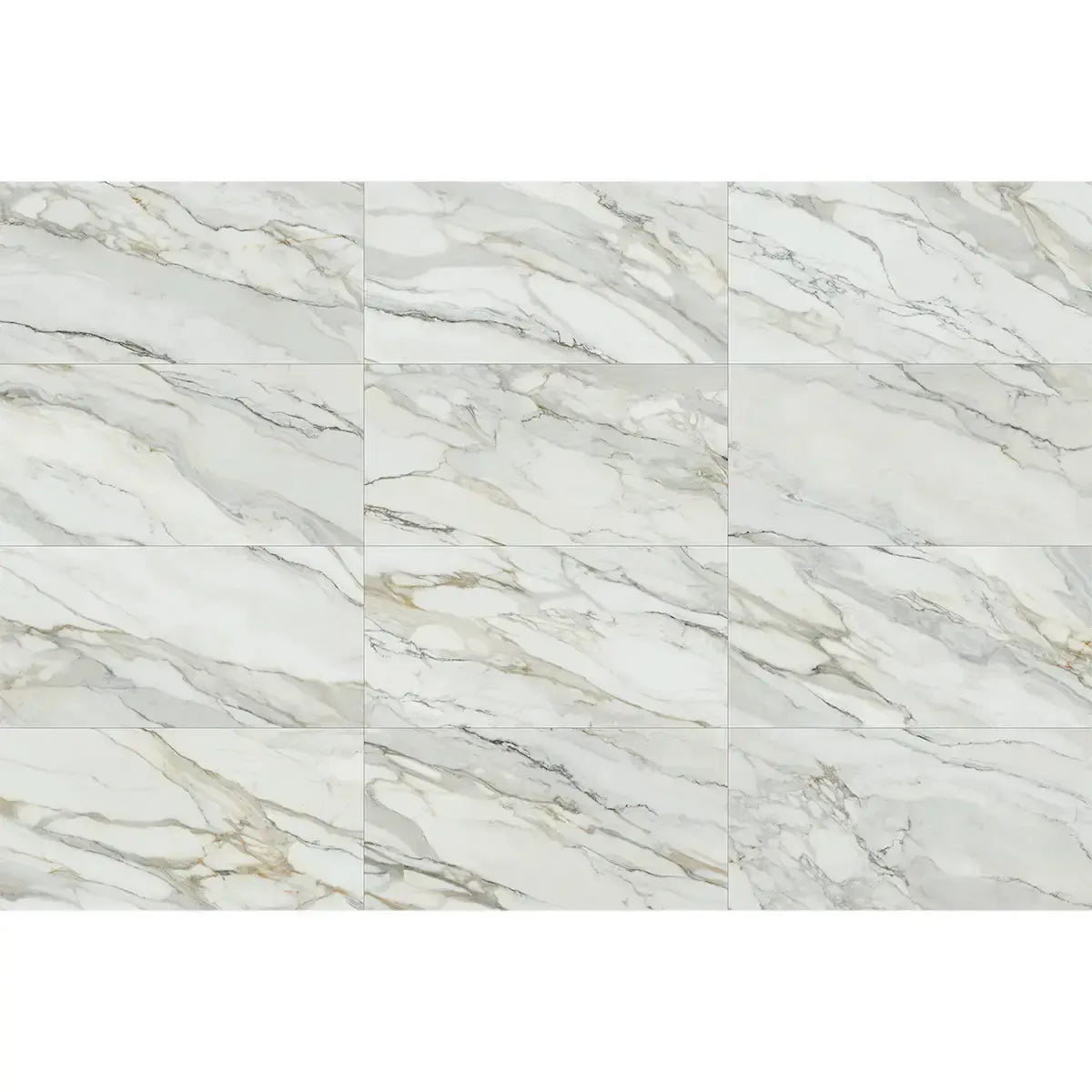Emporio Arabescato Corchia Matte Porcelain Tile 24x48 | Tile Club