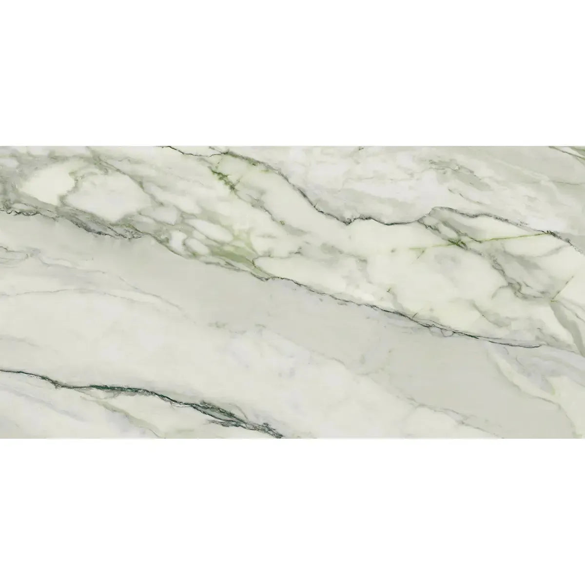 Emporio Arabescato Green Matte Porcelain Tile 24x48 | Tile Club