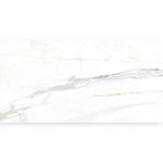 Emporio Calacatta Gold Matte 24x48 Sample