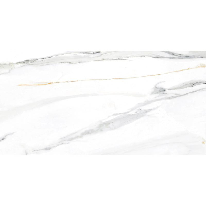 Emporio Calacatta Gold Polished 24x48 Sample