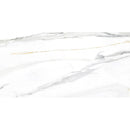Emporio Calacatta Gold Polished 24x48 Sample