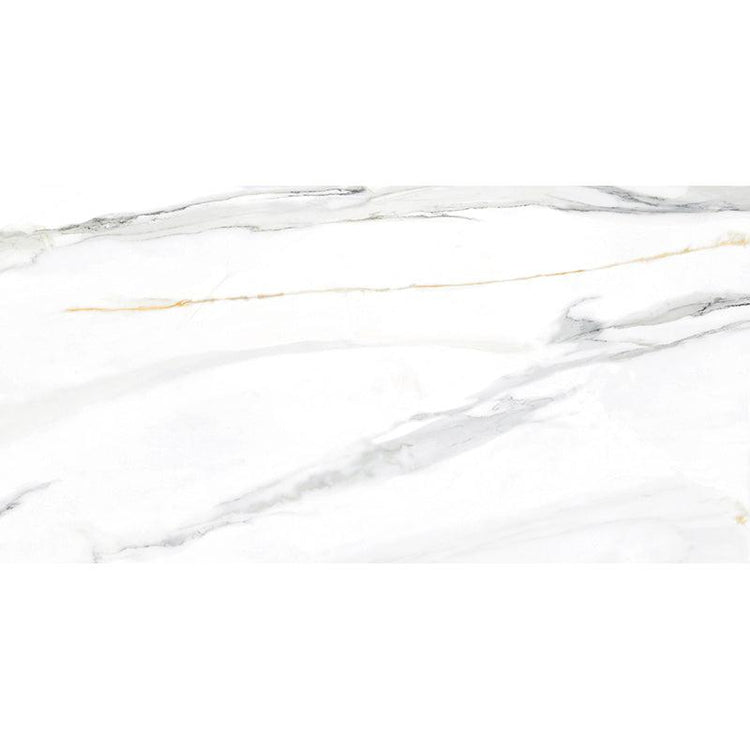 Emporio Calacatta Gold Polished 24x48 Sample