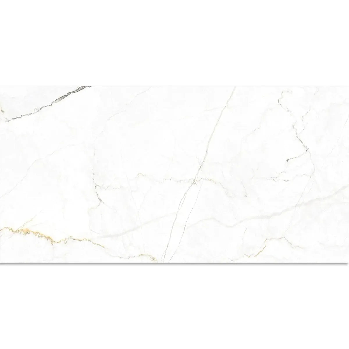 Emporio Natural White Marble Porcelain Tile 24x48 | Tile Club