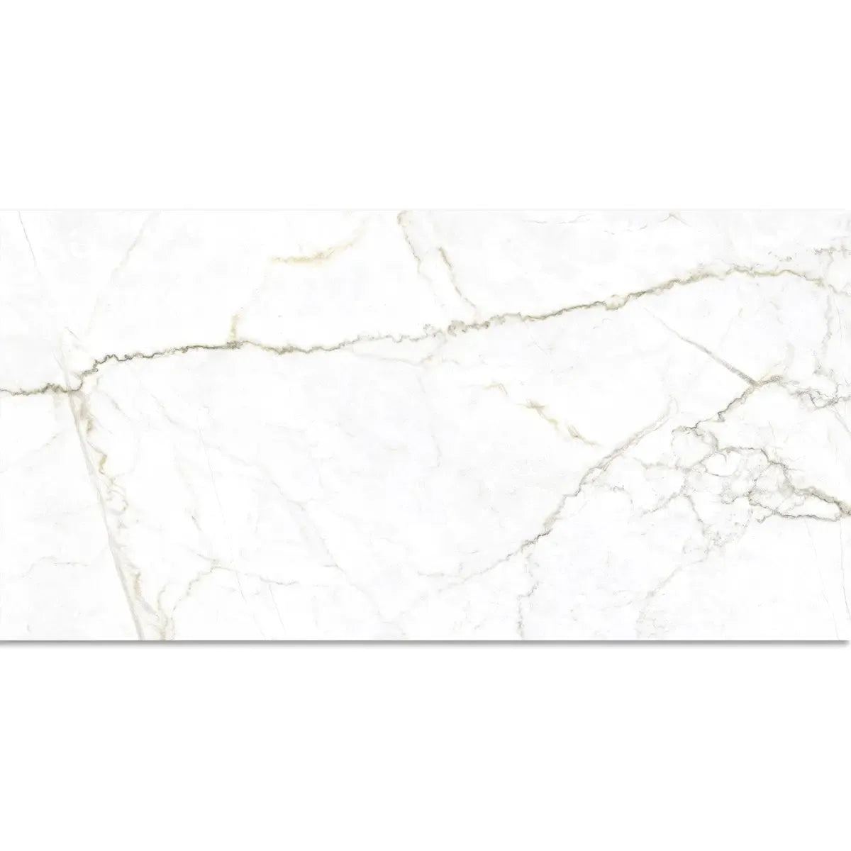 Emporio Natural White Marble Porcelain Tile 24x48 | Tile Club