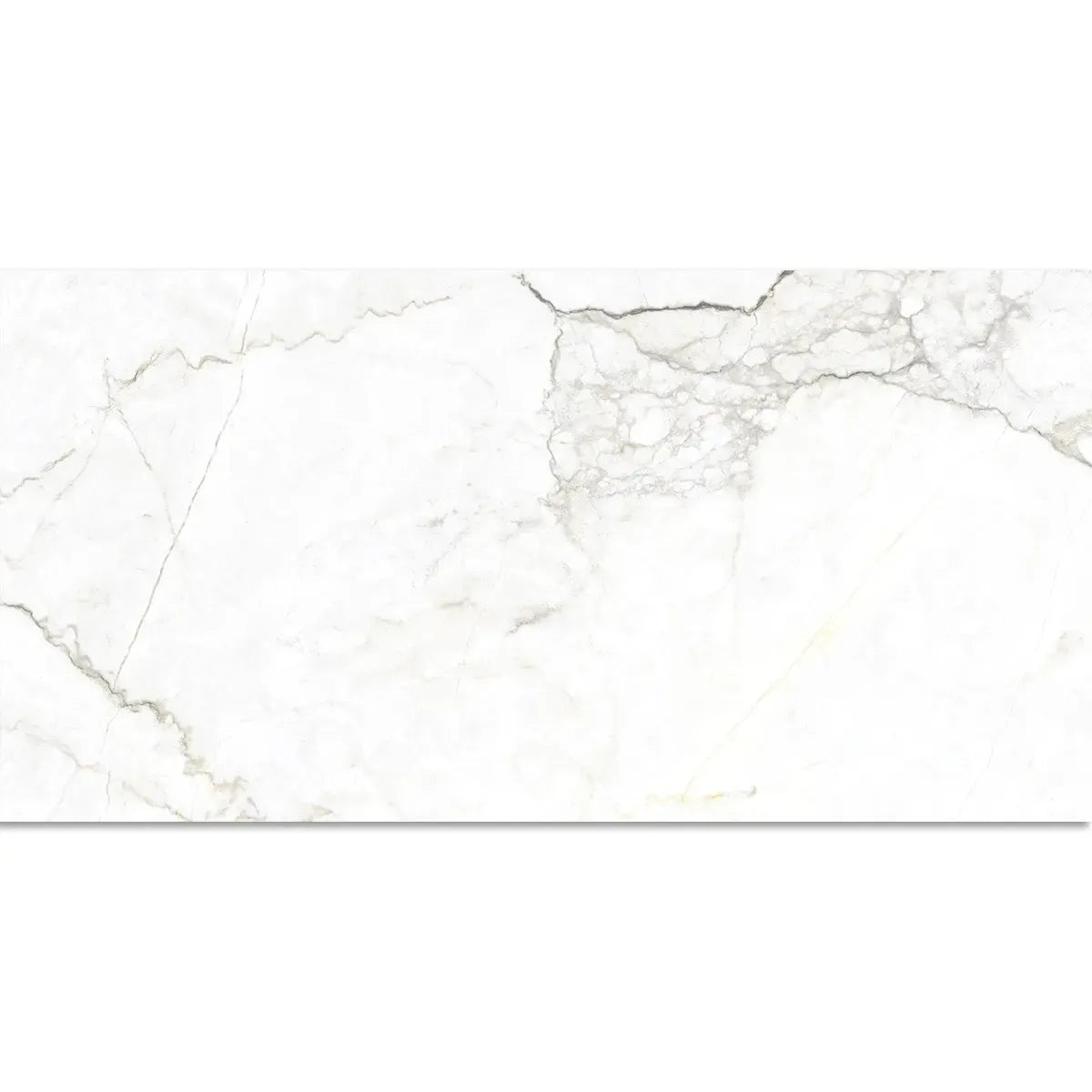 Emporio Natural White Marble Porcelain Tile 24x48 | Tile Club