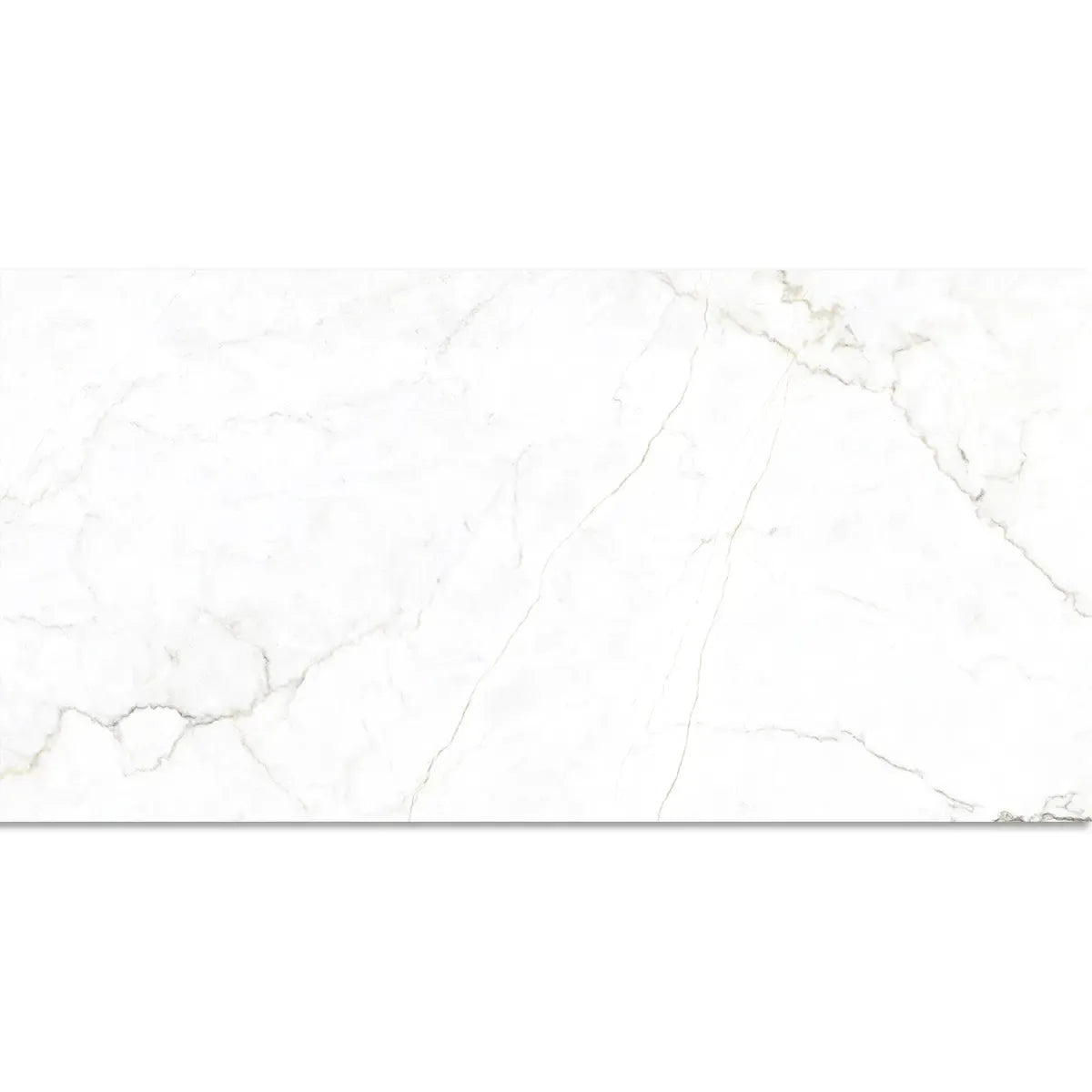Emporio Natural White Marble Porcelain Tile 24x48 | Tile Club