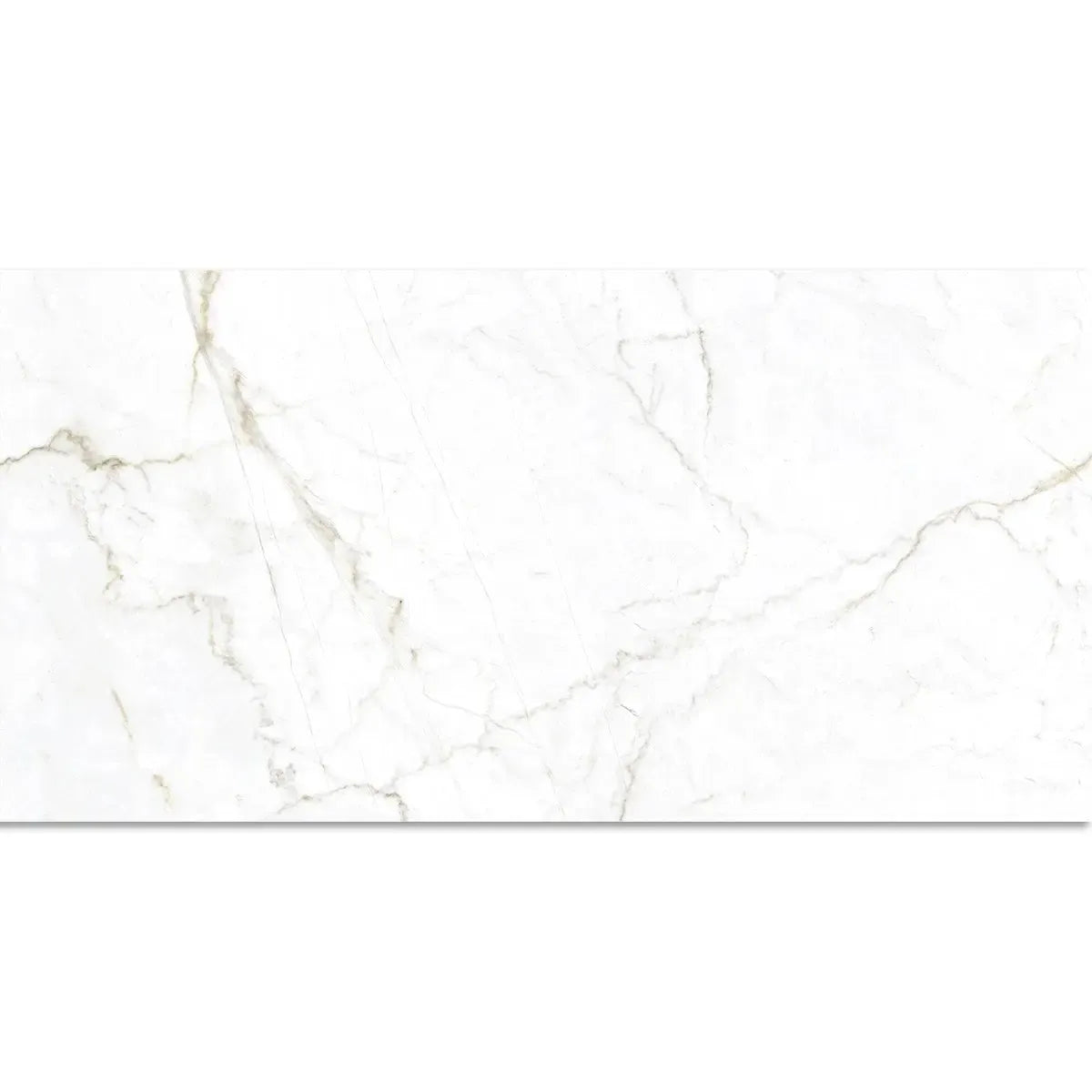 Emporio Natural White Marble Porcelain Tile 24x48 | Tile Club