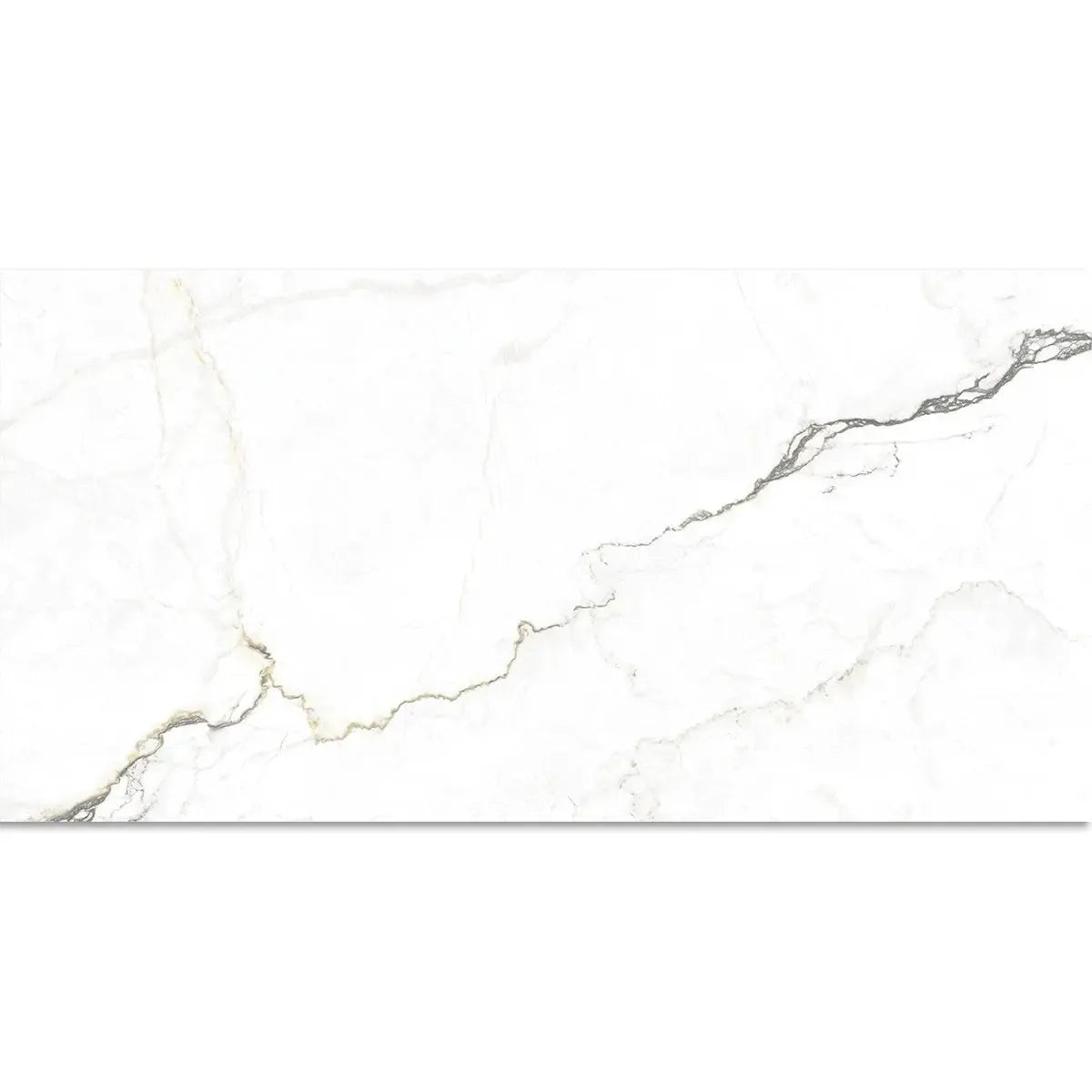 Emporio Natural White Marble Porcelain Tile 24x48 | Tile Club