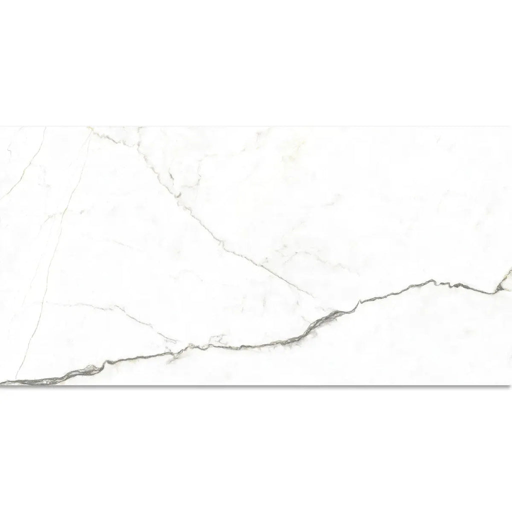 Emporio Natural White Marble Porcelain Tile 24x48 | Tile Club