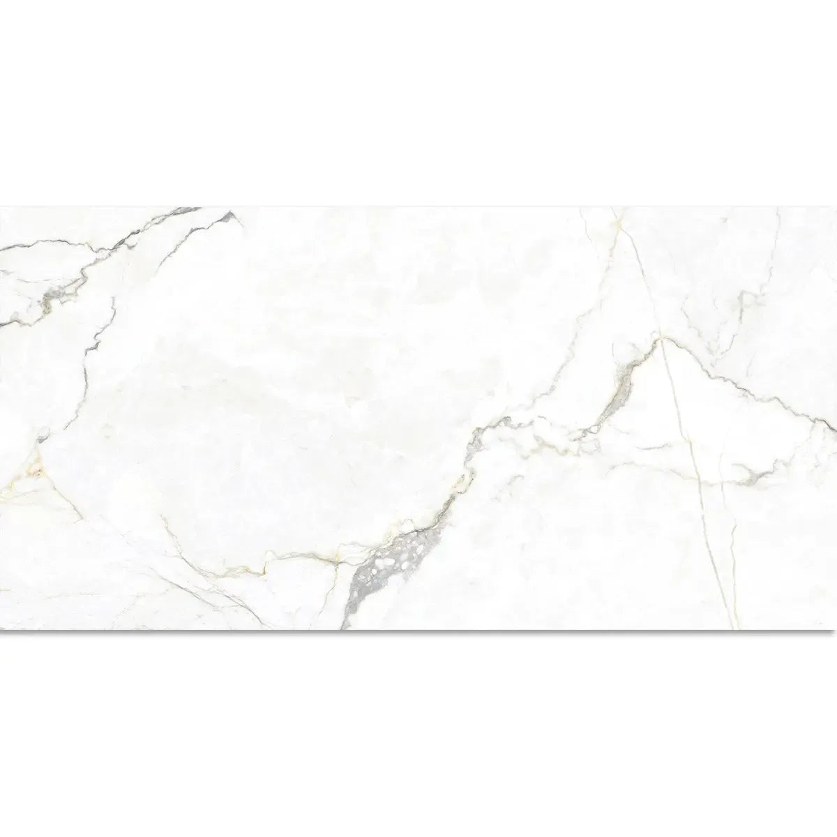 Emporio Natural White Marble Porcelain Tile 24x48 | Tile Club