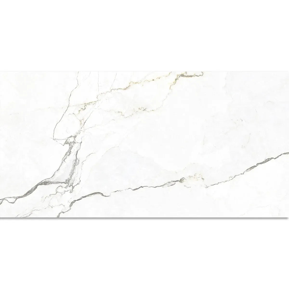 Emporio Natural White Marble Porcelain Tile 24x48 | Tile Club