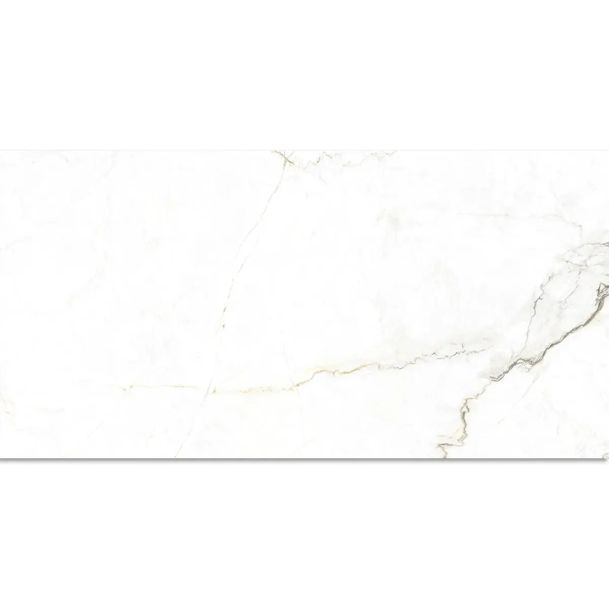 Emporio Natural White Marble Porcelain Tile 24x48 | Tile Club