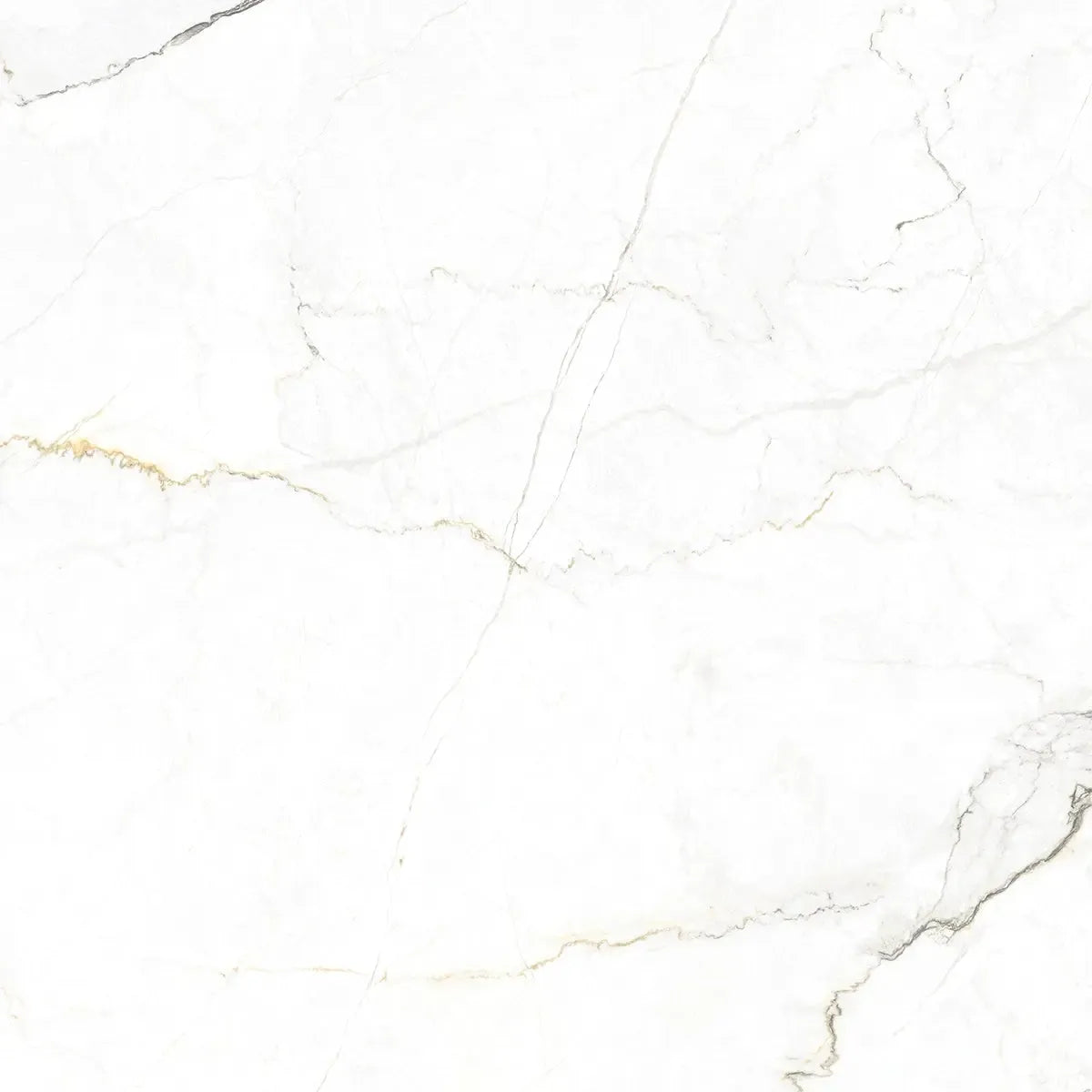 Emporio Natural White Marble Porcelain Tile 48x48