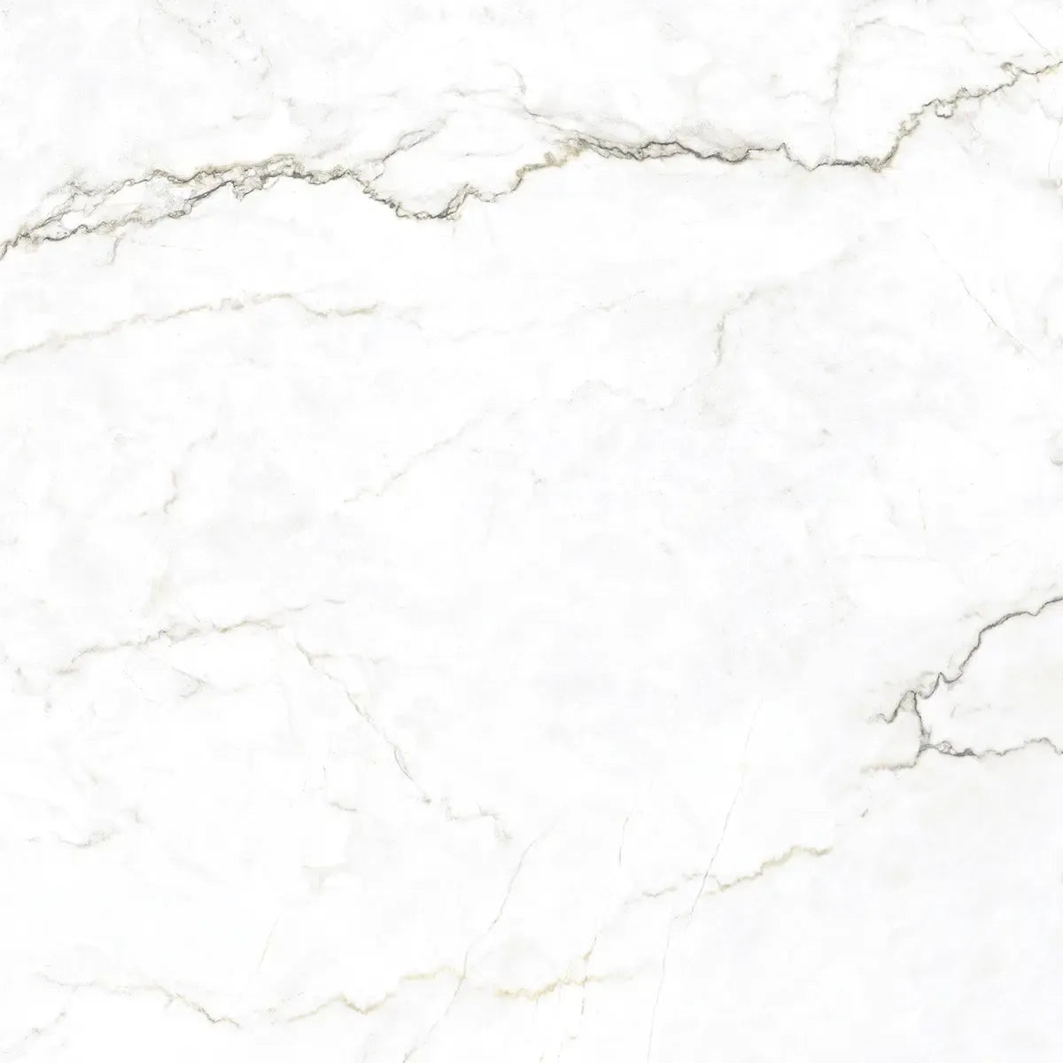 Emporio Natural White Marble Porcelain Tile 48x48 | Tile Club
