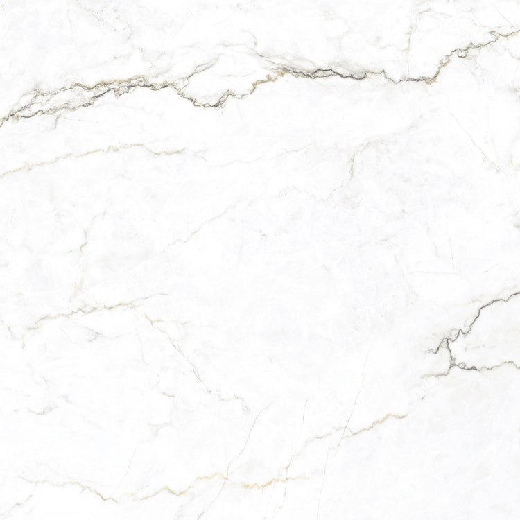 Emporio Natural White Marble Porcelain Tile 48x48 | Tile Club