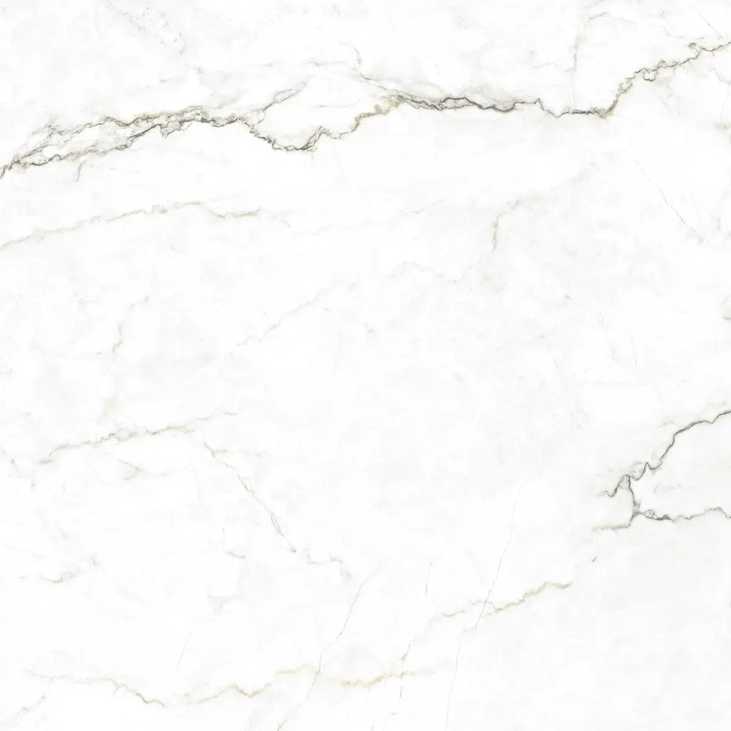 Emporio Natural White Marble Porcelain Tile 48x48 | Tile Club