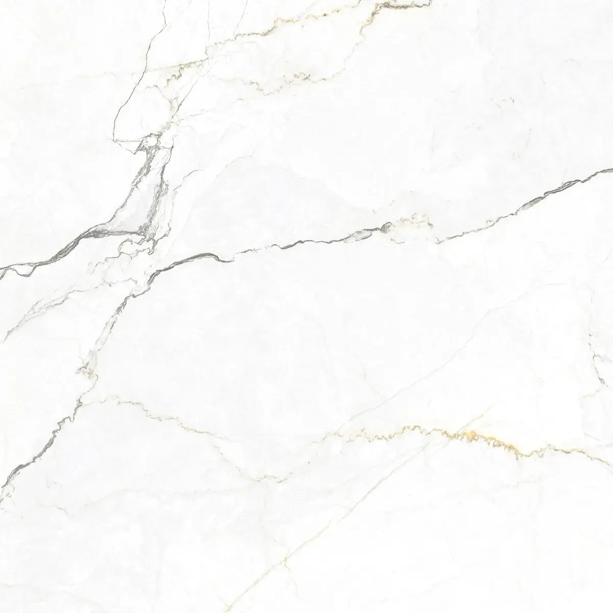 Emporio Natural White Marble Porcelain Tile 48x48 | Tile Club