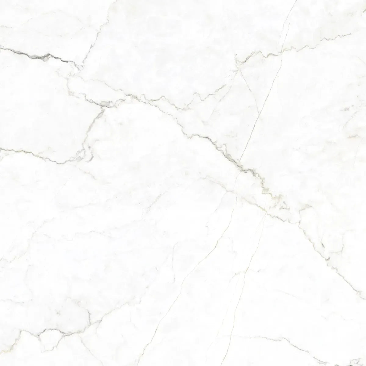 Emporio Natural White Marble Porcelain Tile 48x48 | Tile Club