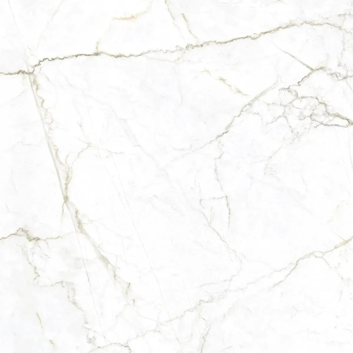 Emporio Natural White Marble Porcelain Tile 48x48 | Tile Club