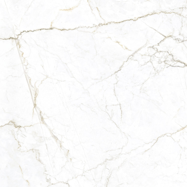 Emporio Natural White Marble Porcelain Tile 48x48 | Tile Club