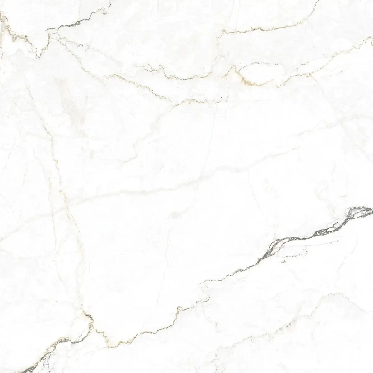 Emporio Natural White Marble Porcelain Tile 48x48 | Tile Club