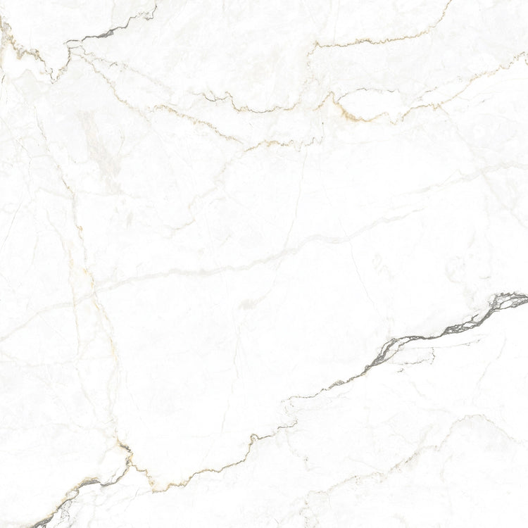 Emporio Natural White Marble Porcelain Tile 48x48 | Tile Club