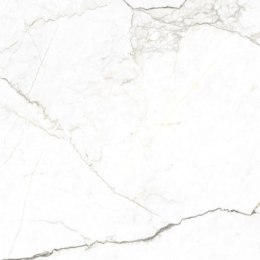 Emporio Natural White Marble Porcelain Tile 48x48 | Tile Club