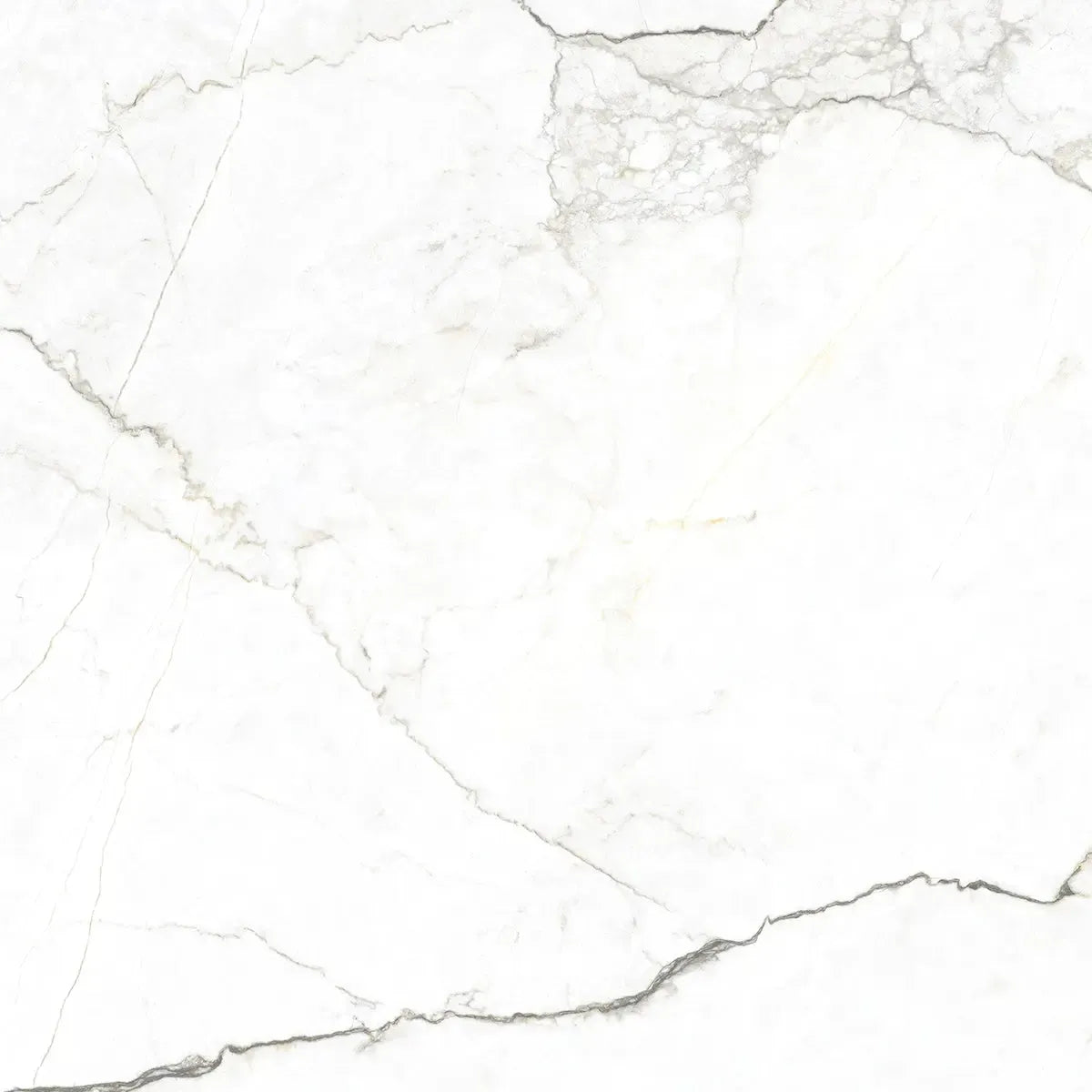 Emporio Natural White Marble Porcelain Tile 48x48 | Tile Club