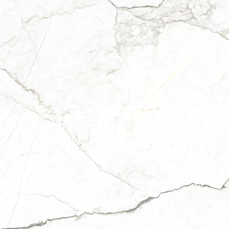 Emporio Natural White Marble Porcelain Tile 48x48 | Tile Club