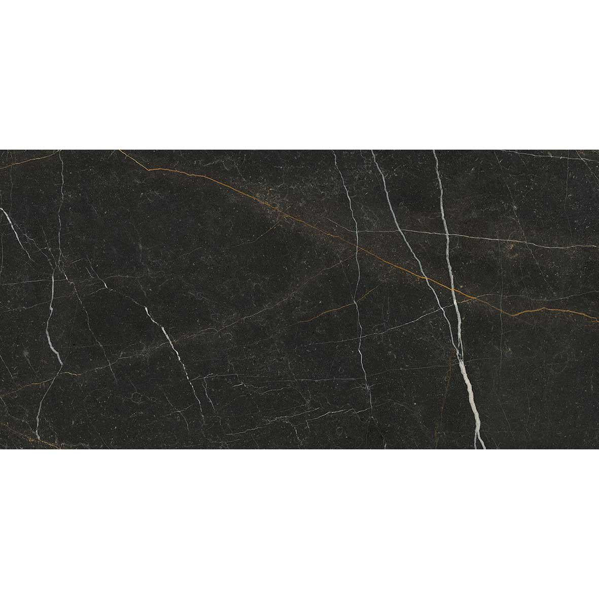 Emporio Gold Nero 24x48 Sample