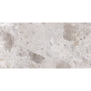 Emporio Gray Limestone Porcelain Tile 24x48 | Tile Club