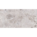 Emporio Gray Limestone Porcelain Tile 24x48 | Tile Club