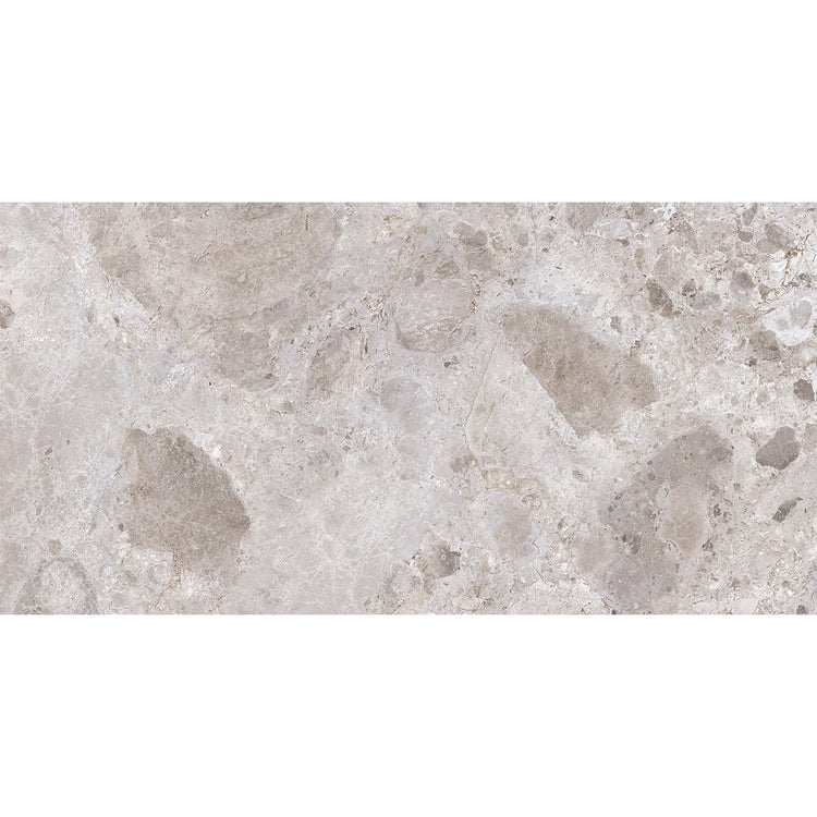 Emporio Gray Limestone Porcelain Tile 24x48 | Tile Club