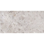 Emporio Gray Limestone Porcelain Tile 24x48 | Tile Club