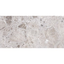 Emporio Gray Limestone Porcelain Tile 24x48 | Tile Club