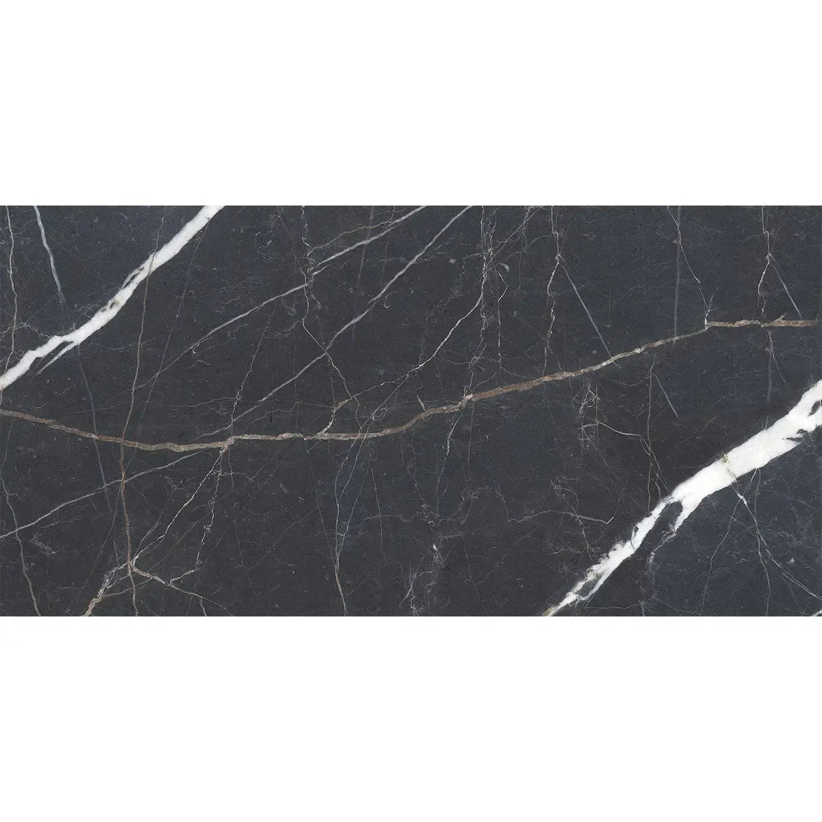 Emporio Bold Black Porcelain Tile 24x48 | Tile Club