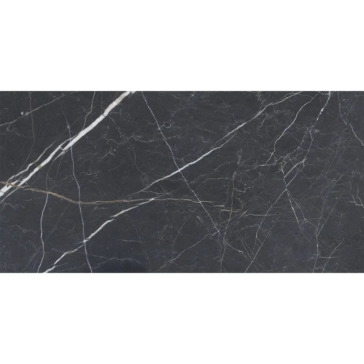 Emporio Bold Black Porcelain Tile 24x48 | Tile Club